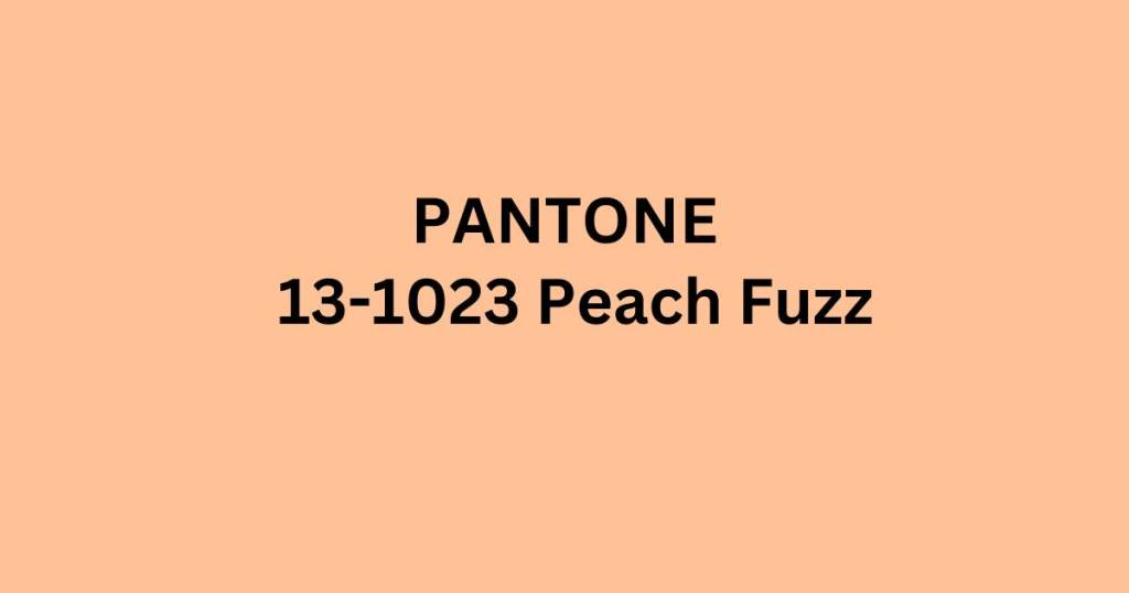 Pantone Cor do Ano 2024: A Acolhedora e Moderna "Peach Fuzz" 1 Pantone Cor do Ano 2024