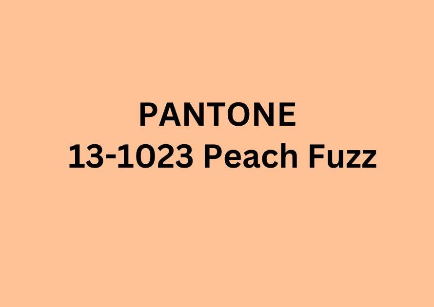 Pantone Cor do Ano 2024